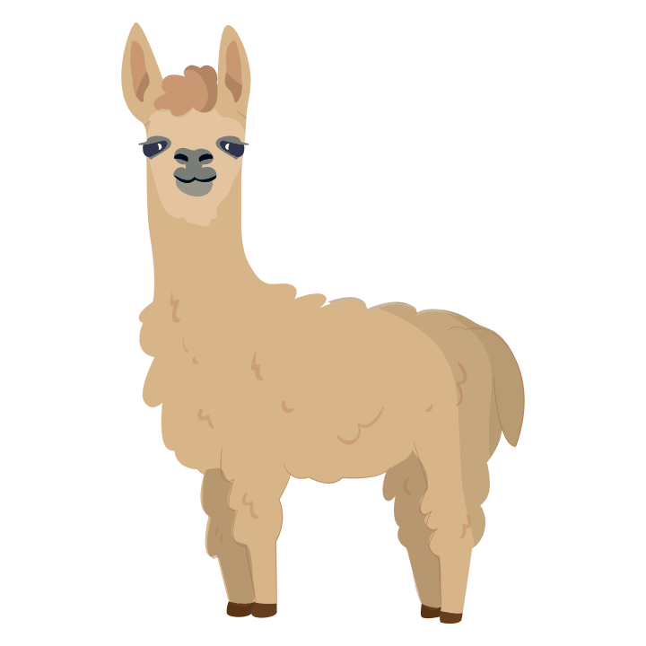 Funny Llama  Sudadera con capucha 0 image