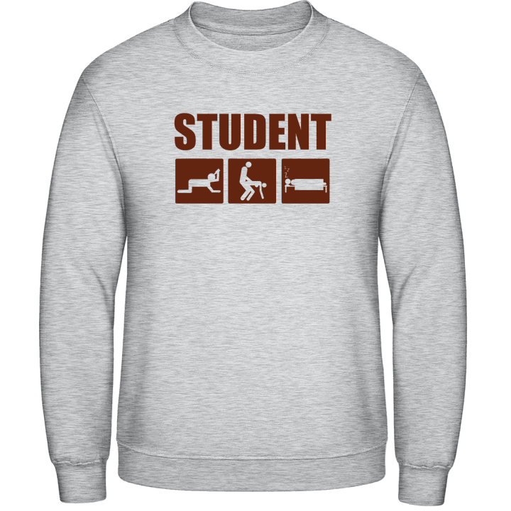 Student Life Sweatshirt contain pic