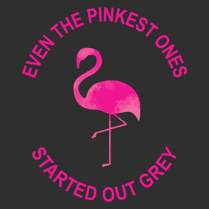 Pink Ones Start Out Grey Flamingo Felpa con cappuccio da donna 0 image