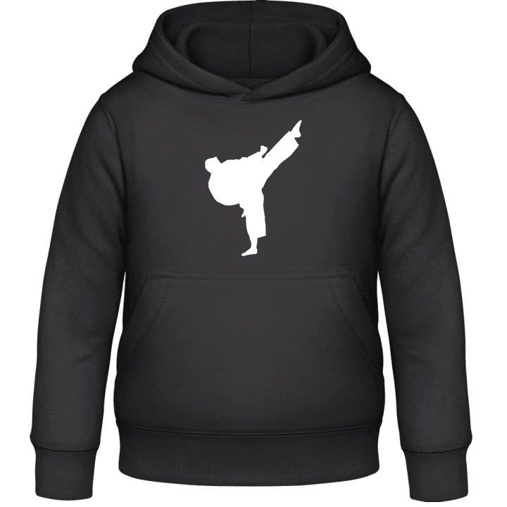 Taekwondo Fighter Barn Hoodie contain pic