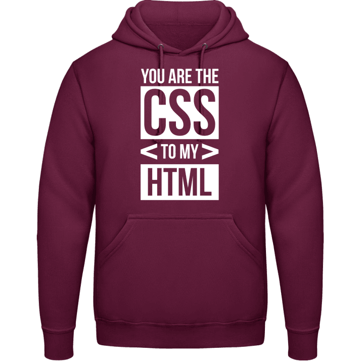 You Are The CSS To My HTML Felpa con cappuccio contain pic