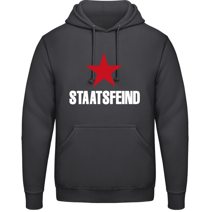 Staatsfeind Hoodie contain pic
