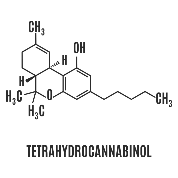 Tetrahydrocannabinol Felpa con cappuccio da donna 0 image