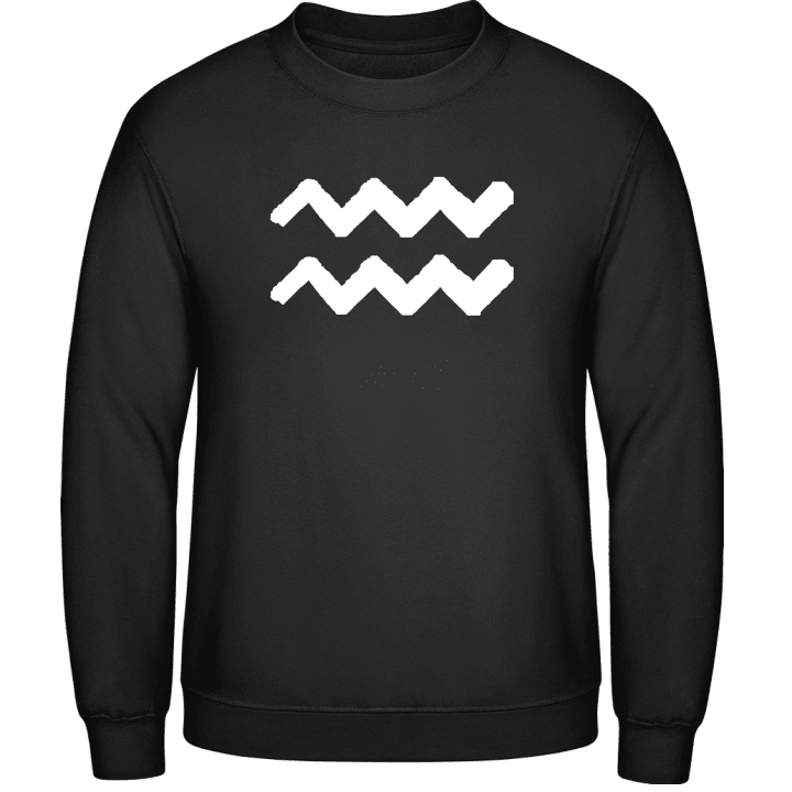 Aquarius Sweatshirt 0 image