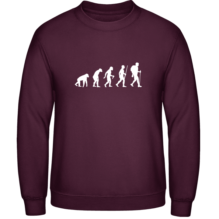wandelaar Evolution Sweatshirt contain pic