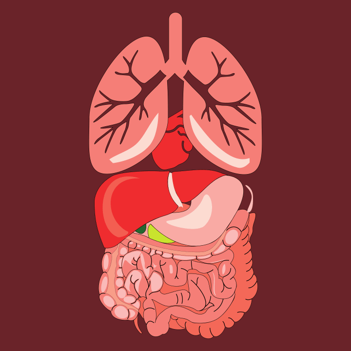 Human Organ T-skjorte 0 image