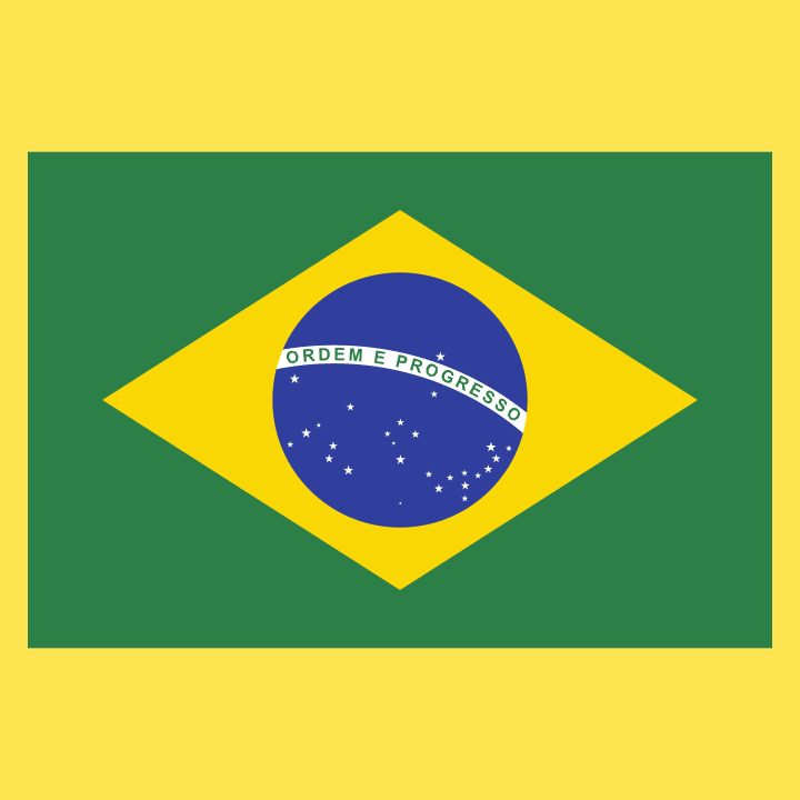 Brazil Flag Kitchen Apron 0 image