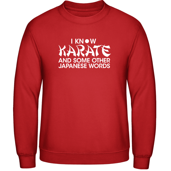 I Know Karate And Some Other Ja Sweatshirt 0 image