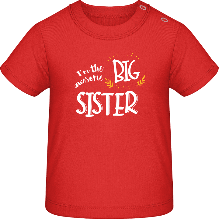 I'm The Awesome Big Sister Baby T-Shirt contain pic