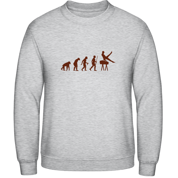 Pommel Horse Gymnastics Evolution Sweatshirt contain pic