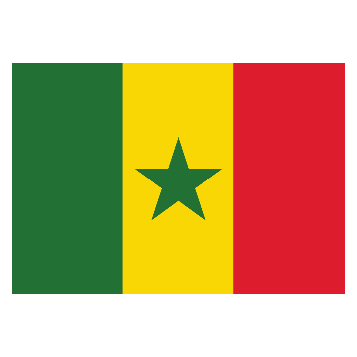 Senegal Flag Huvtröja 0 image