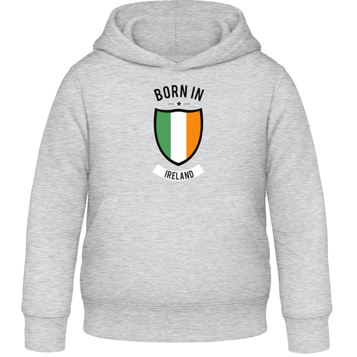 Born in Ireland Kids Hoodie contain pic