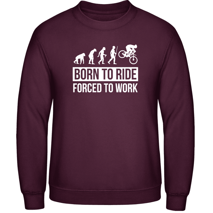 Born To Ride Evolution Sweatshirt contain pic