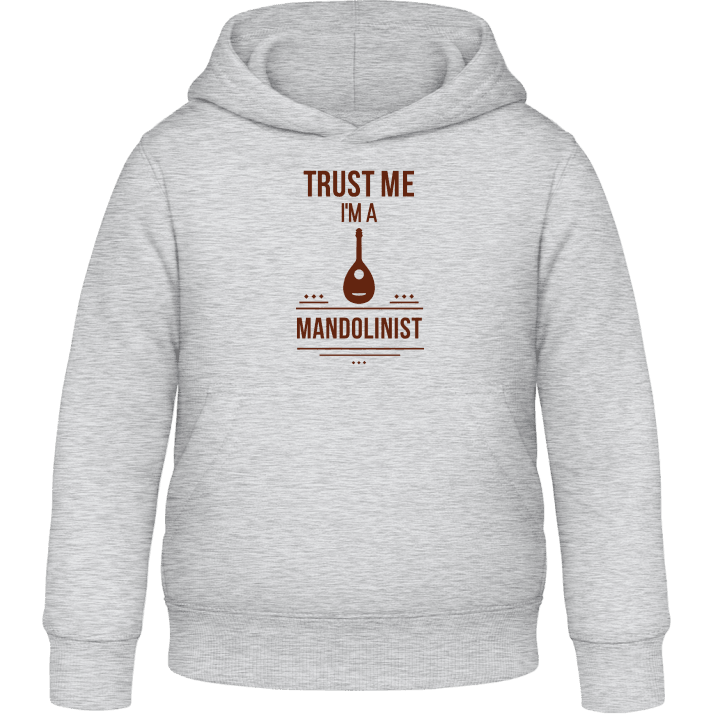 Trust Me I´m A Mandolinist Hettegenser for barn contain pic