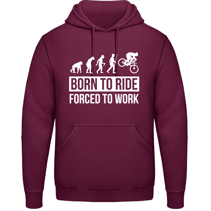 Born To Ride Evolution Sudadera con capucha contain pic