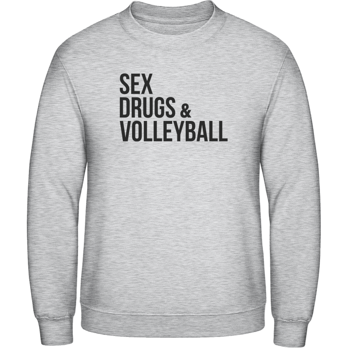 Sex Drugs Volleyball Sweatshirt contain pic