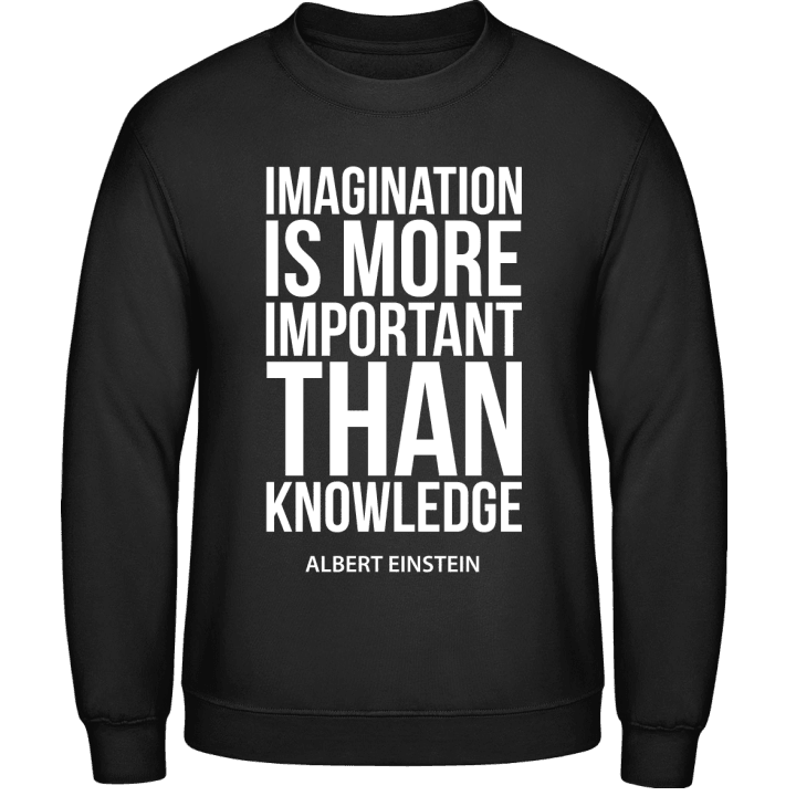 Imagination Is More Important Than Knowledge Sweatshirt 0 image