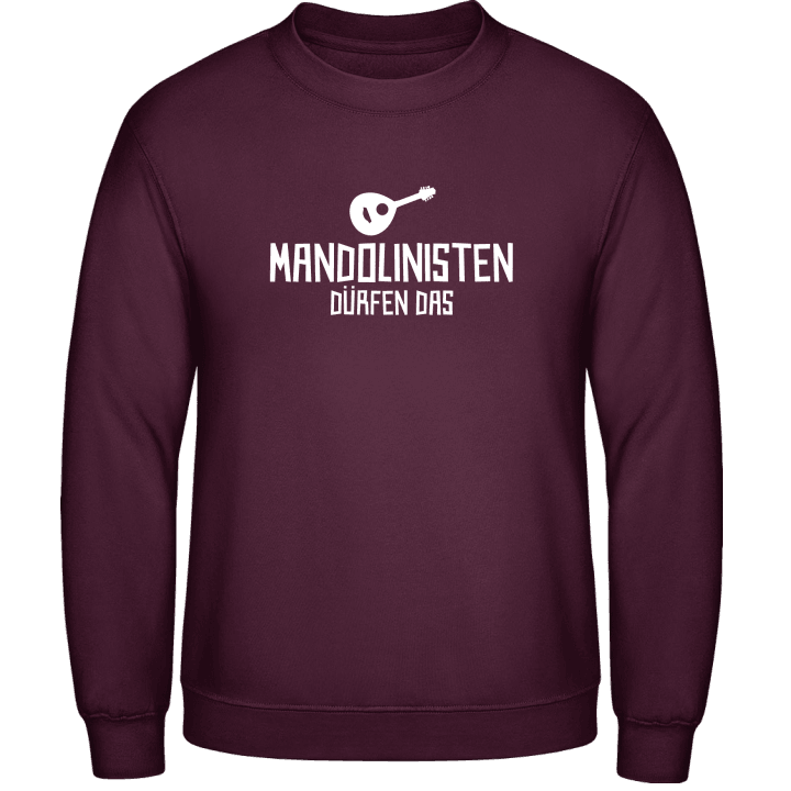 Mandolinisten dürfen das Sweatshirt contain pic