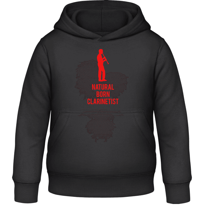 Natural Born Clarinetist Barn Hoodie contain pic