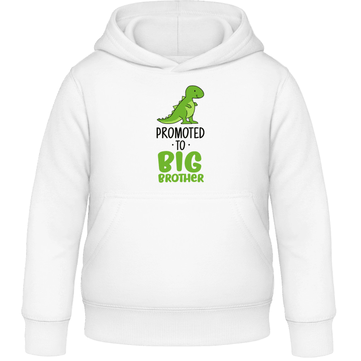 Promoted To Big Brother Barn Hoodie 0 image