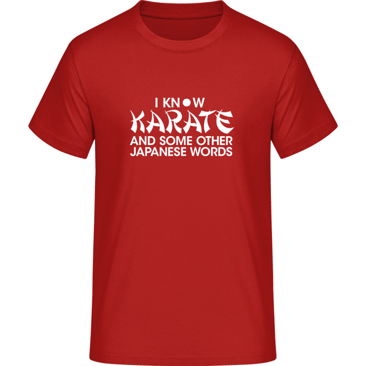 I Know Karate And Some Other Ja T-Shirt 0 image