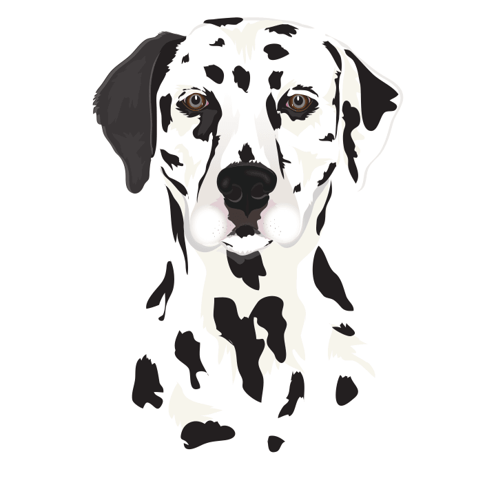 Dalmatian Head Realistic T-Shirt 0 image