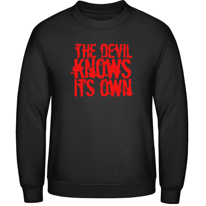 Devil Sweatshirt contain pic