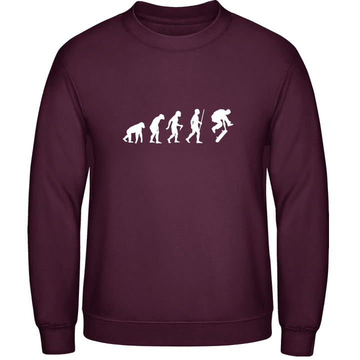 Skating Evolution Humor Sweatshirt 0 image