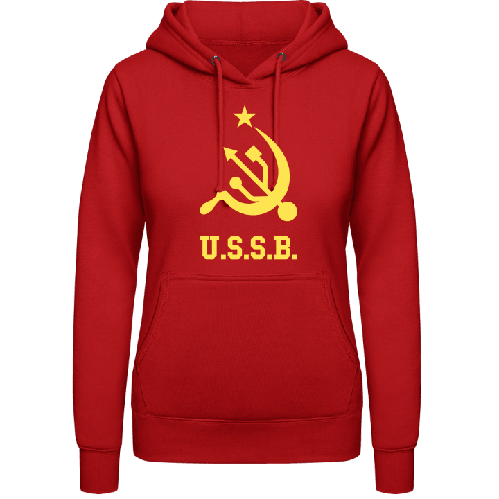 USB Russian Geek Sudadera con capucha para mujer 0 image