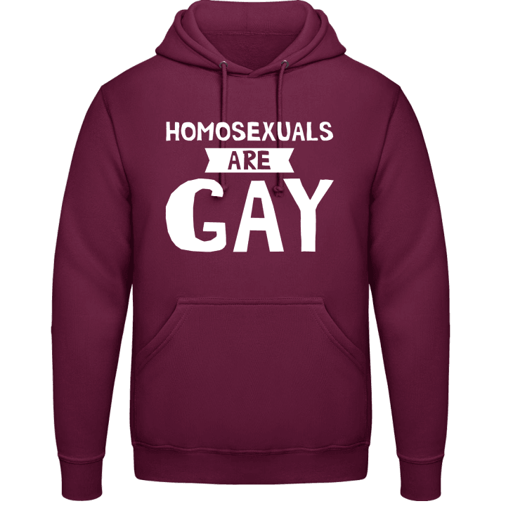 Homo Sexuals Are Gay Hoodie contain pic