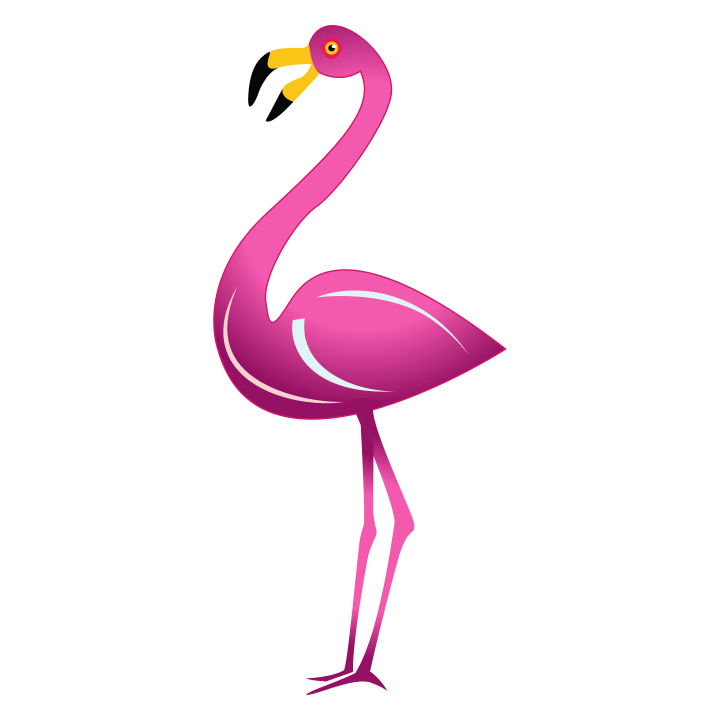 Flamingo Illustration Langermet skjorte for kvinner 0 image