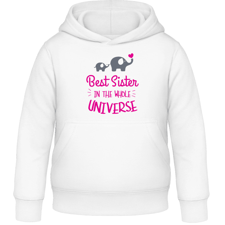 Best sister In The Whole Universe Barn Hoodie 0 image