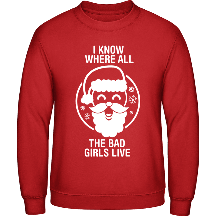 I Know Where All The Bad Girls Live Sudadera 0 image
