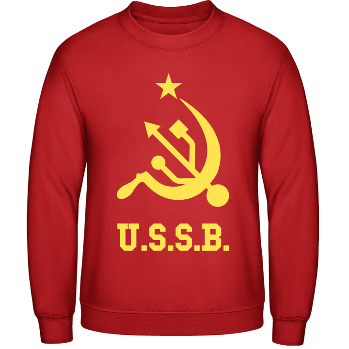 USB Russian Geek Sweatshirt contain pic