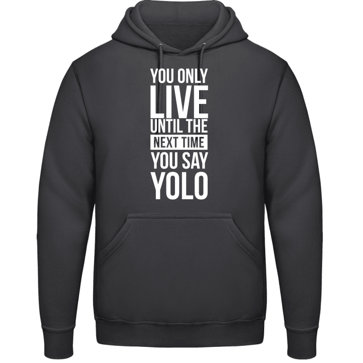 Live Until The Next YOLO Hoodie 0 image