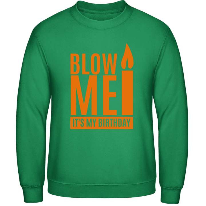 Blow Me It's My Birthday Sweatshirt contain pic