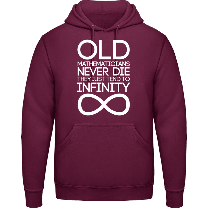 Mathematicians Never Die They Tend To Infinity Hoodie 0 image