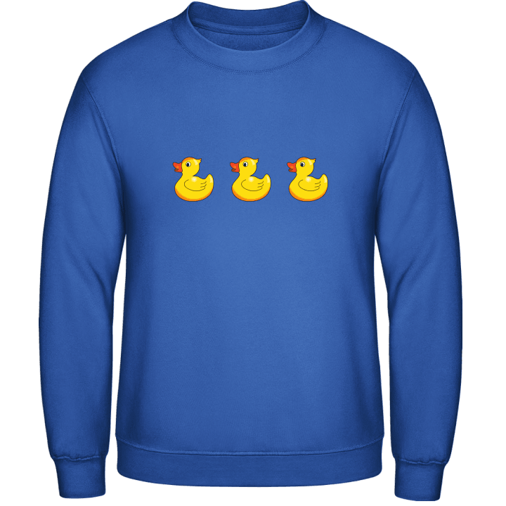 Ducks Sweatshirt 0 image