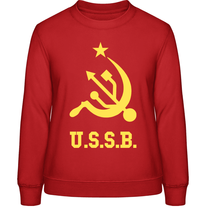 USB Russian Geek Frauen Sweatshirt 0 image