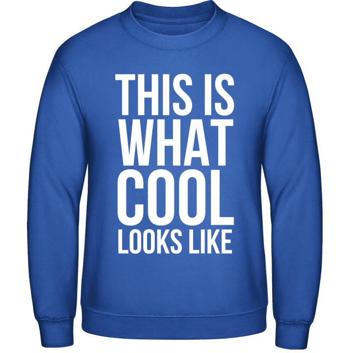 That Is What Cool Looks Like Sweatshirt 0 image
