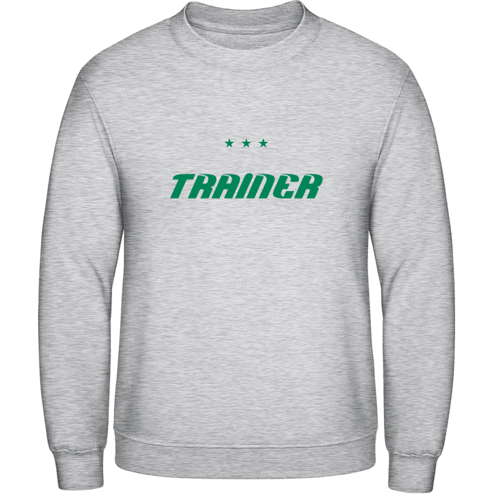 Trainer Sweatshirt contain pic