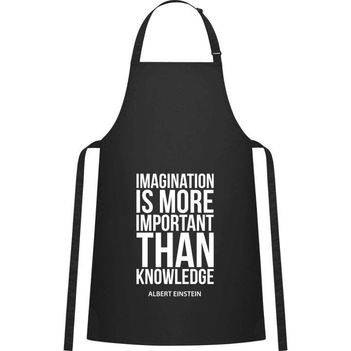 Imagination Is More Important Than Knowledge Kitchen Apron 0 image