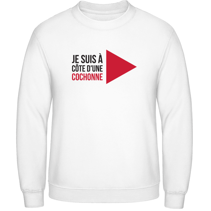 Je Suis À Côte D'une Cochonne Sweatshirt contain pic