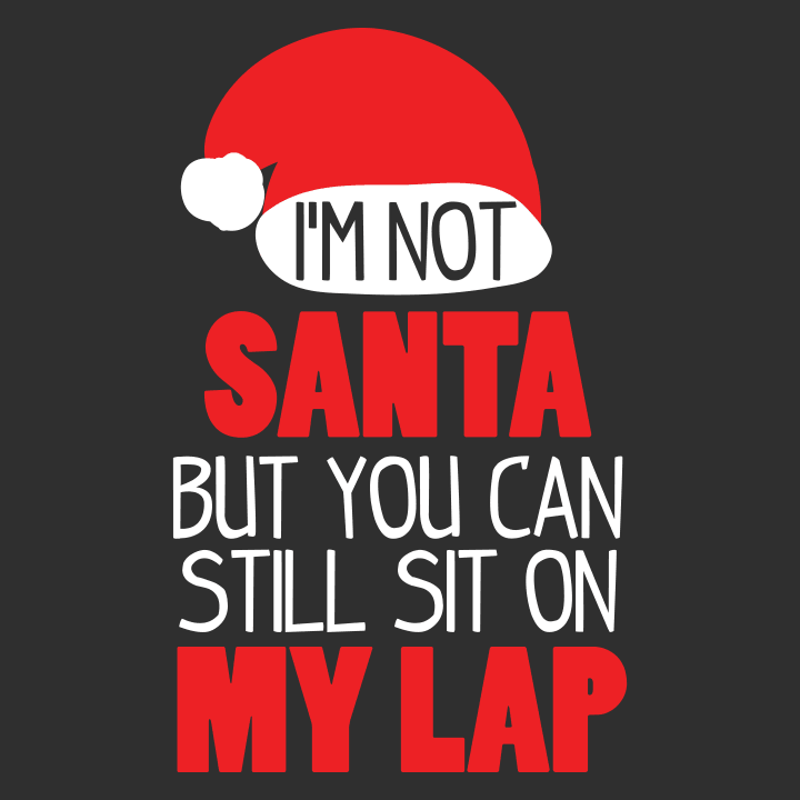 I'm Not Santa Sit On My Lap Hoodie 0 image