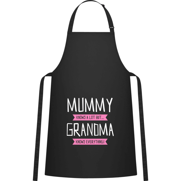 Mummy Knows A Lot But Grandma Knows Everything Kitchen Apron 0 image