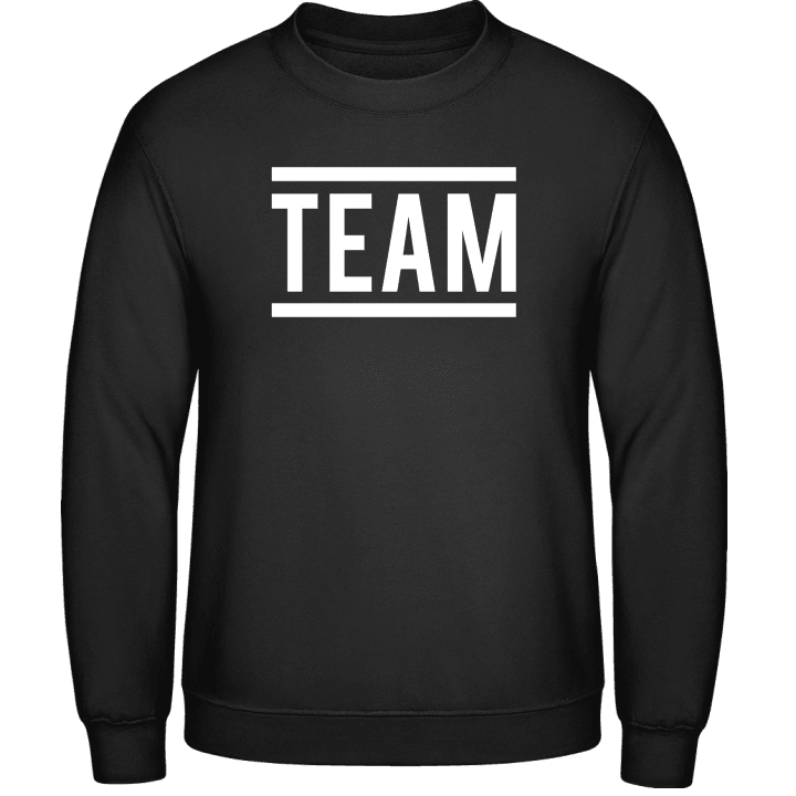 Team Sweatshirt contain pic