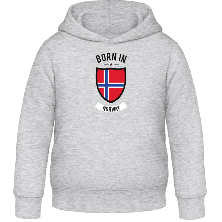 Born in Norway Barn Hoodie 0 image