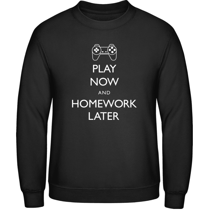 Play Now And Homework Later Sweatshirt 0 image
