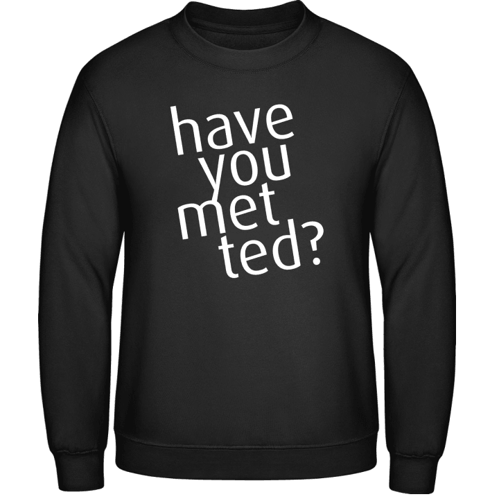 Have You Met Ted Sudadera 0 image