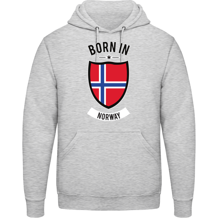 Born in Norway Hoodie contain pic